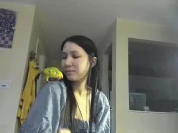 alizezaide from Chaturbate is Freechat