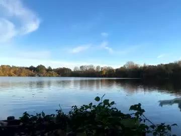 germanwankingman92 from Chaturbate is Freechat