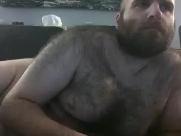 hairiestbear from Chaturbate is Freechat
