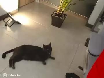 imlunadoll from Chaturbate is Freechat