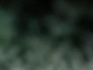 sweetphilly from Chaturbate is Freechat