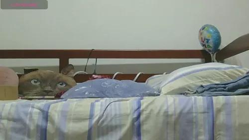 lunamoon17 from Cherry is Freechat
