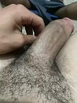 alex-riadh from StripChat is Freechat
