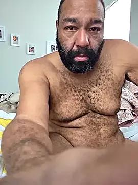 Bearhoney843 from StripChat is Freechat
