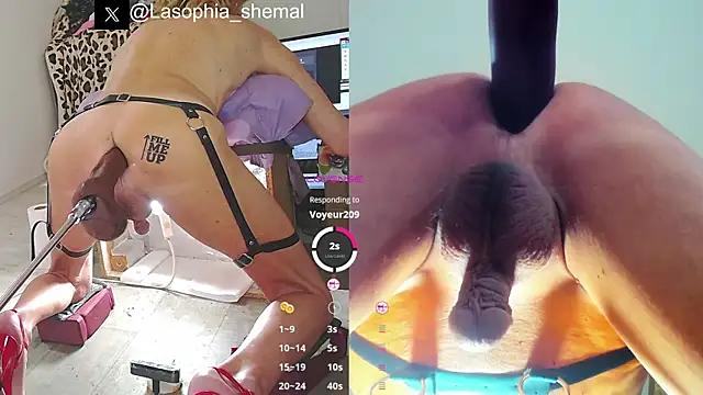 Try the thrill of flirt babes with our cam hosts, featuring unclothed wildness while getting naked and playing with their favored sex toys.
