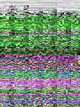 Maggie_Geller from StripChat is Freechat