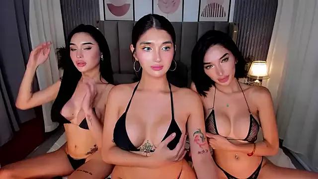 Try the thrill of flirt babes with our cam hosts, featuring unclothed wildness while getting naked and playing with their favored sex toys.