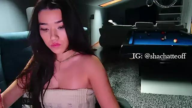 shachatteof from StripChat is Freechat