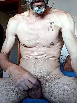 Taitotorres from StripChat