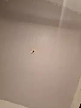 Xmarywet webcams show profile image 